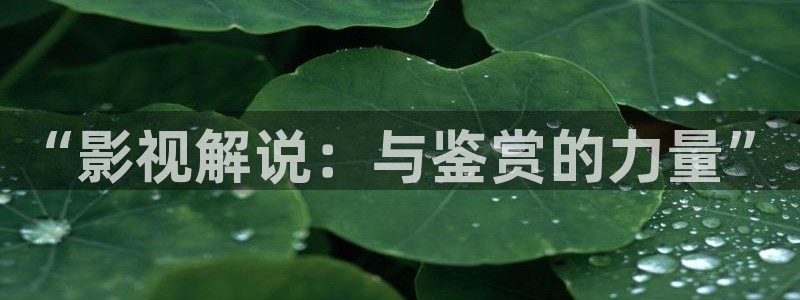 飘花影院电视剧在线免费