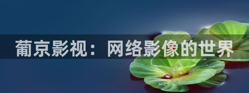 飘花电影院