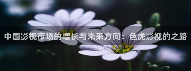 飘花电影理伦