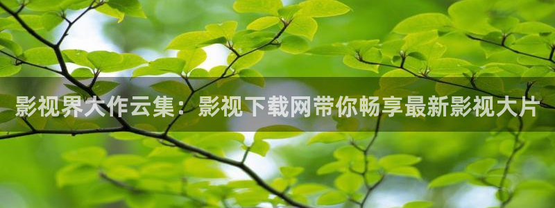 飘花影院入口