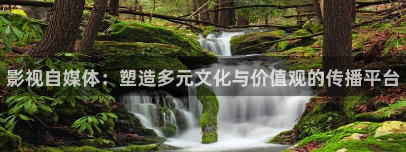 飘花电影网最新电影