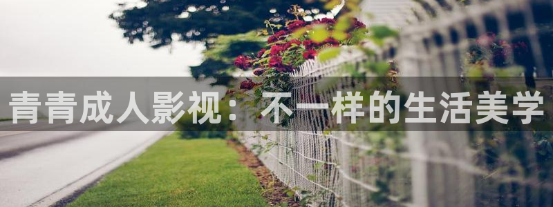 飘花影院午夜片理论片