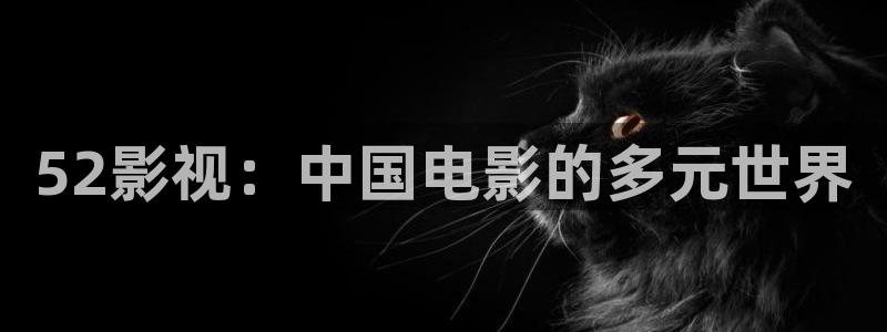 飘花影院理伦