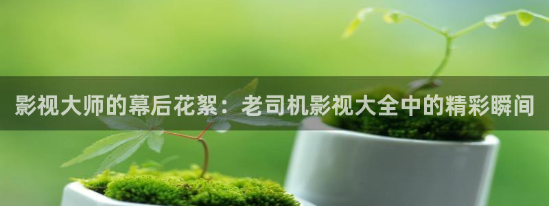 飘花免费影院天堂网