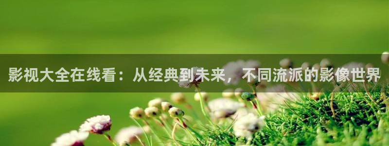 飘花网手机版在线观看电视剧